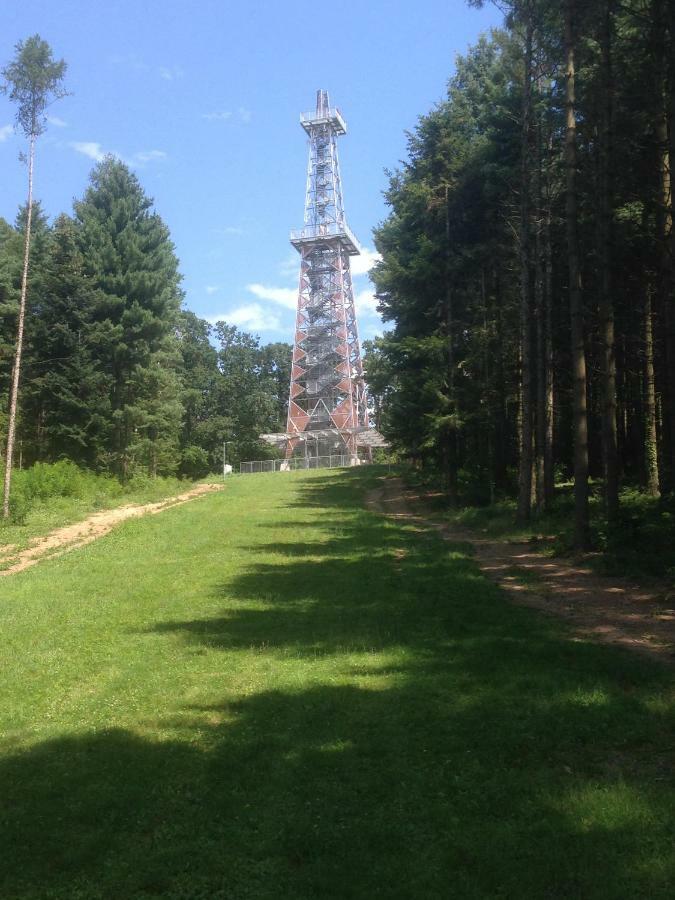 98 Petofi Utca Balatonmagyarod Exterior foto